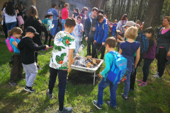 Ogled kmetije