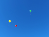 Screenshot_20221004-172342_1